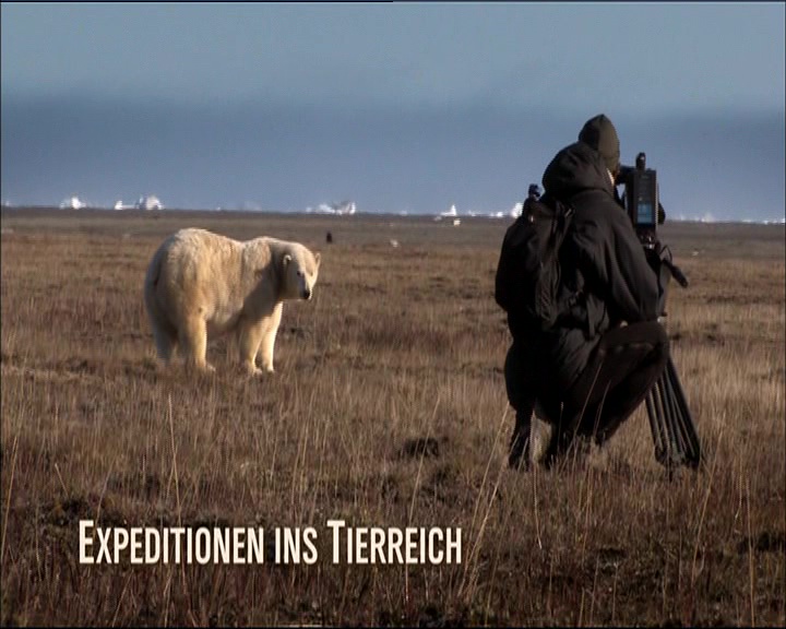 wild russia the adventure